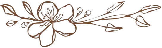 Retour soins decorative flower